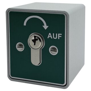 Schlüsselschalter Auf Putz mit PHZ,  1 seitig,  "Rastend", "AUF" in Grün